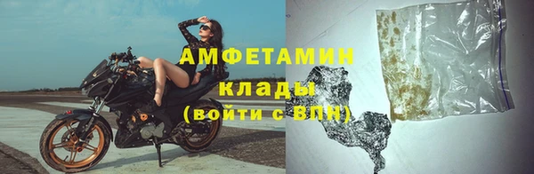 крисы Бронницы