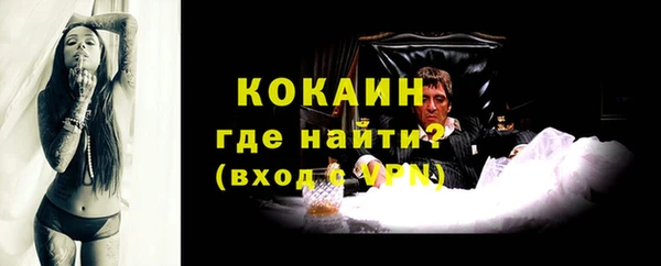 крисы Бронницы