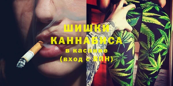 крисы Бронницы