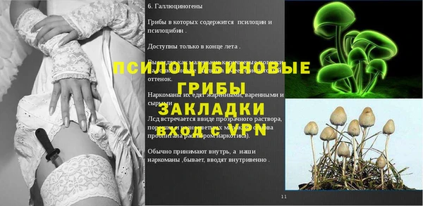 ALPHA-PVP Бородино